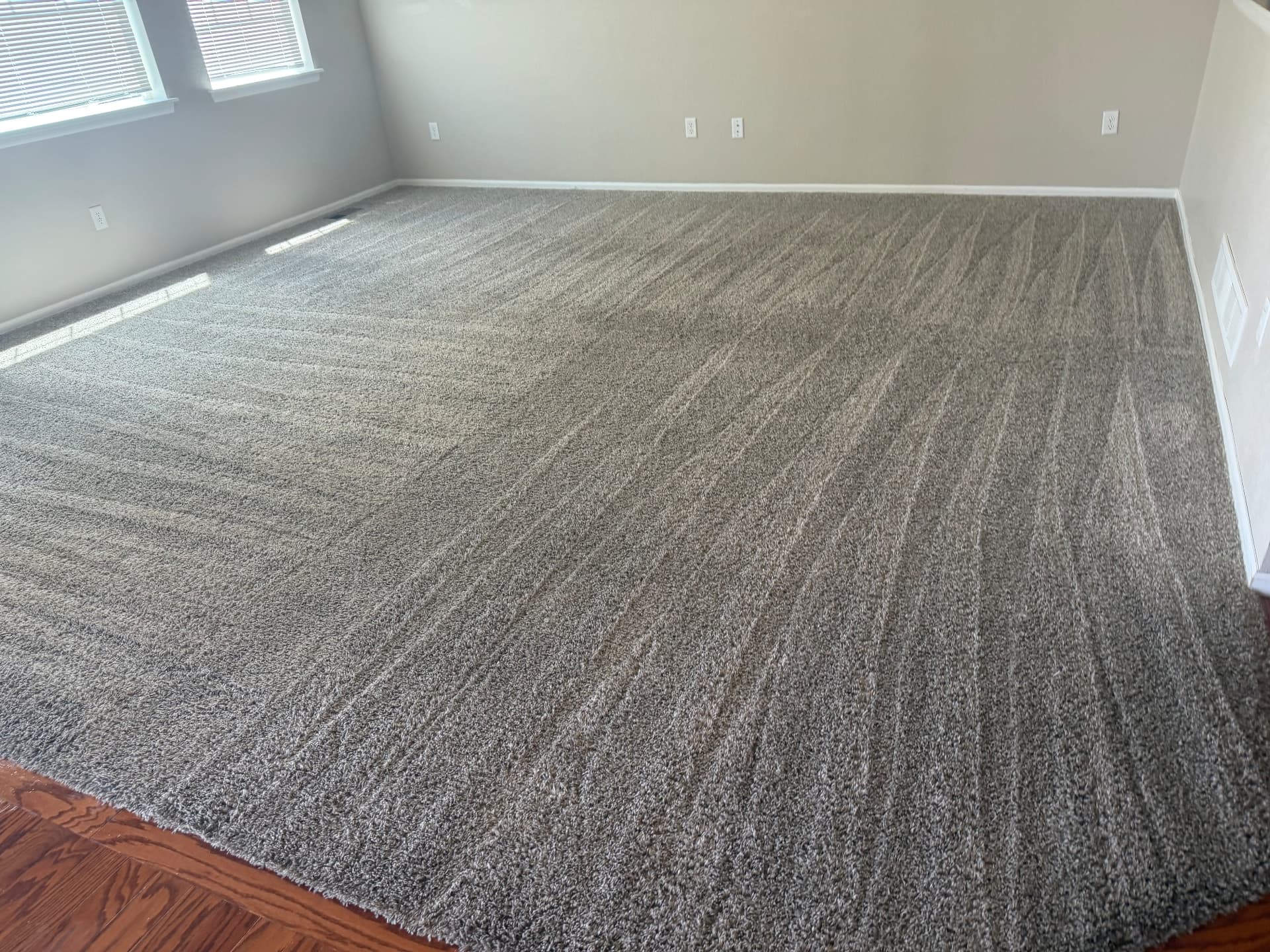 Large living room carpet cleaned wall to wall with even grooming lines