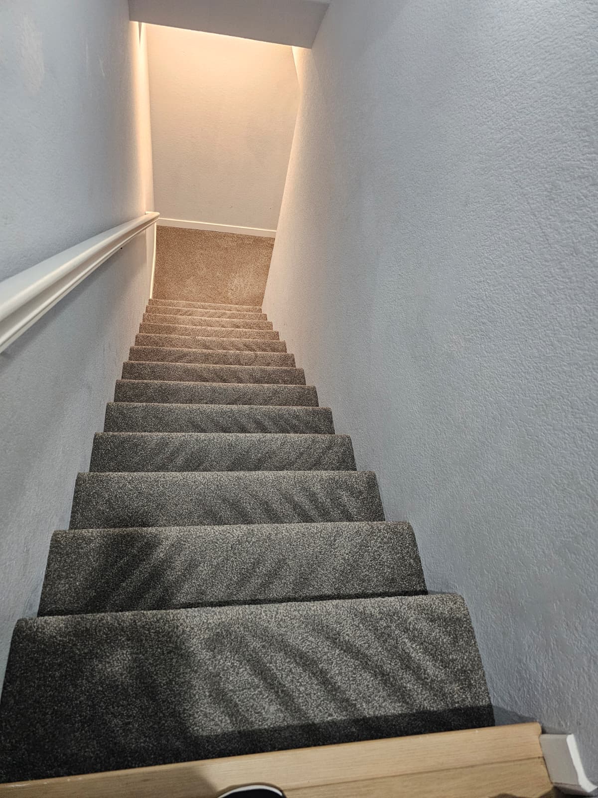 Carpeted stairs cleaned step by step during a Colorado carpet cleaning service