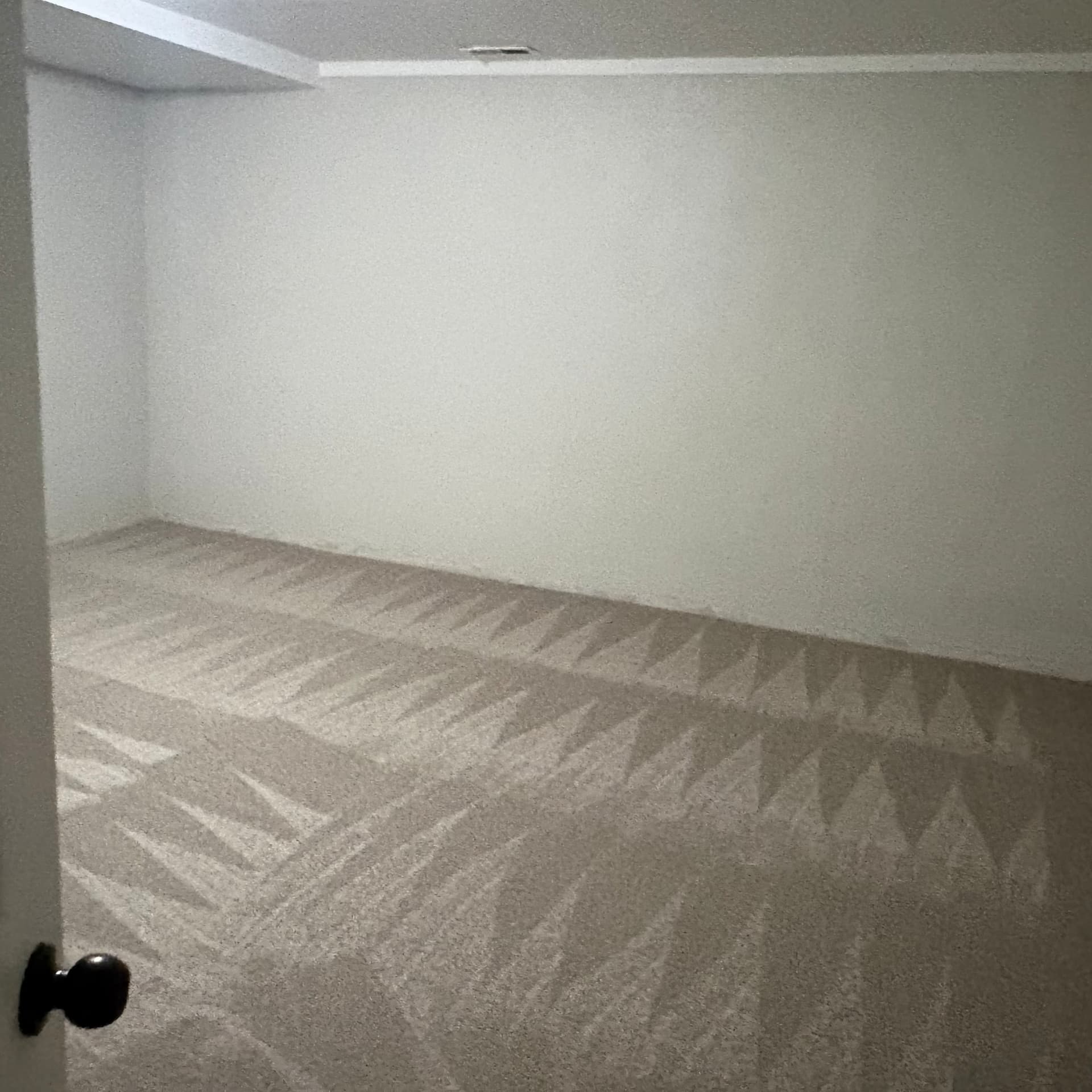 Basement room carpet cleaned and groomed during a residential carpet cleaning appointment