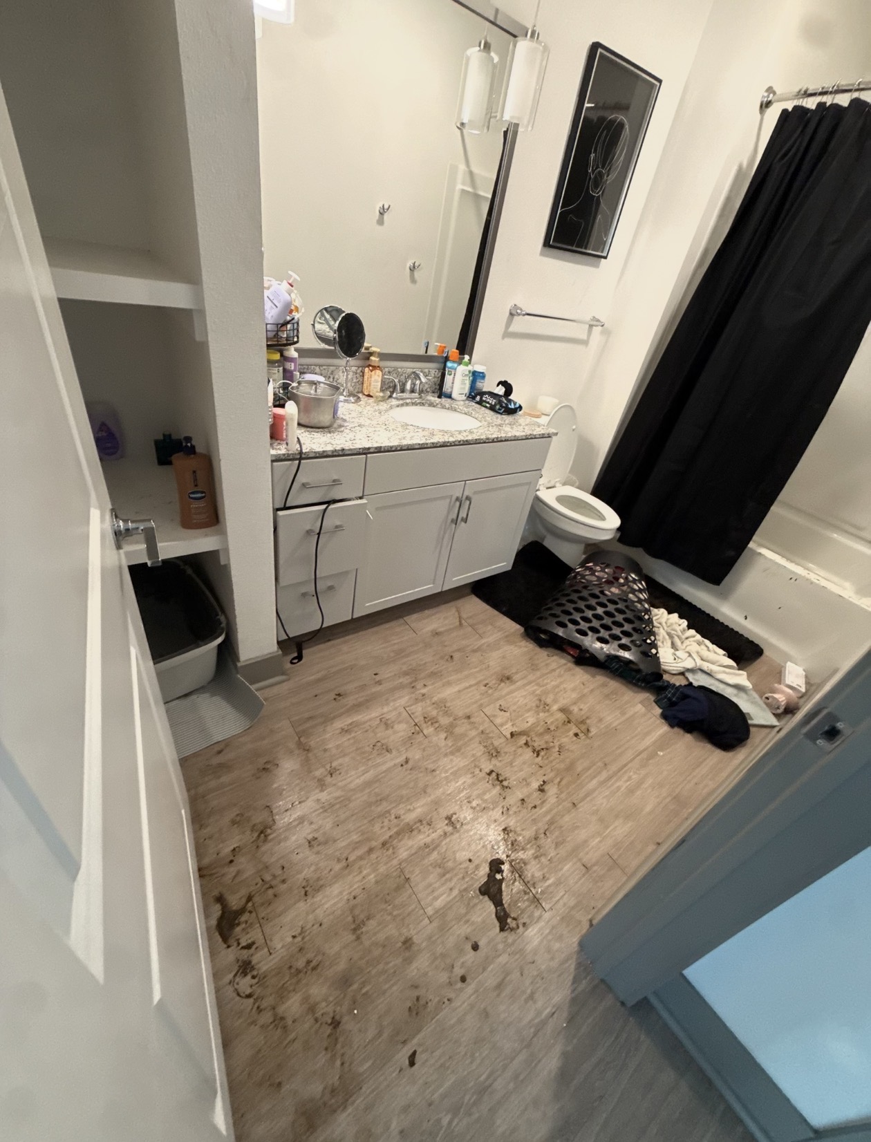 Bathroom floor covered in dog waste and pet mess before a Hello Clean & Company pet waste cleanup