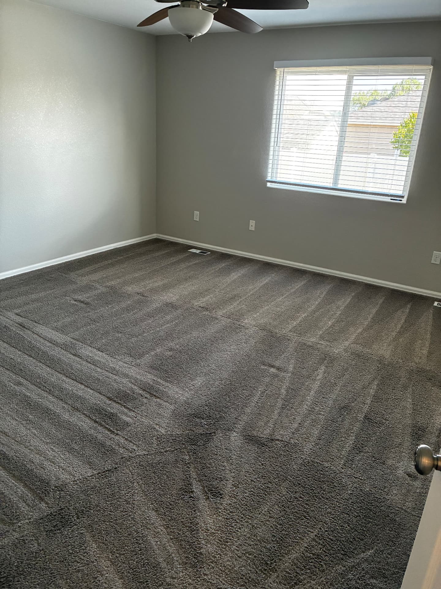Empty bedroom with dark carpet cleaned during a move-out carpet cleaning in Colorado