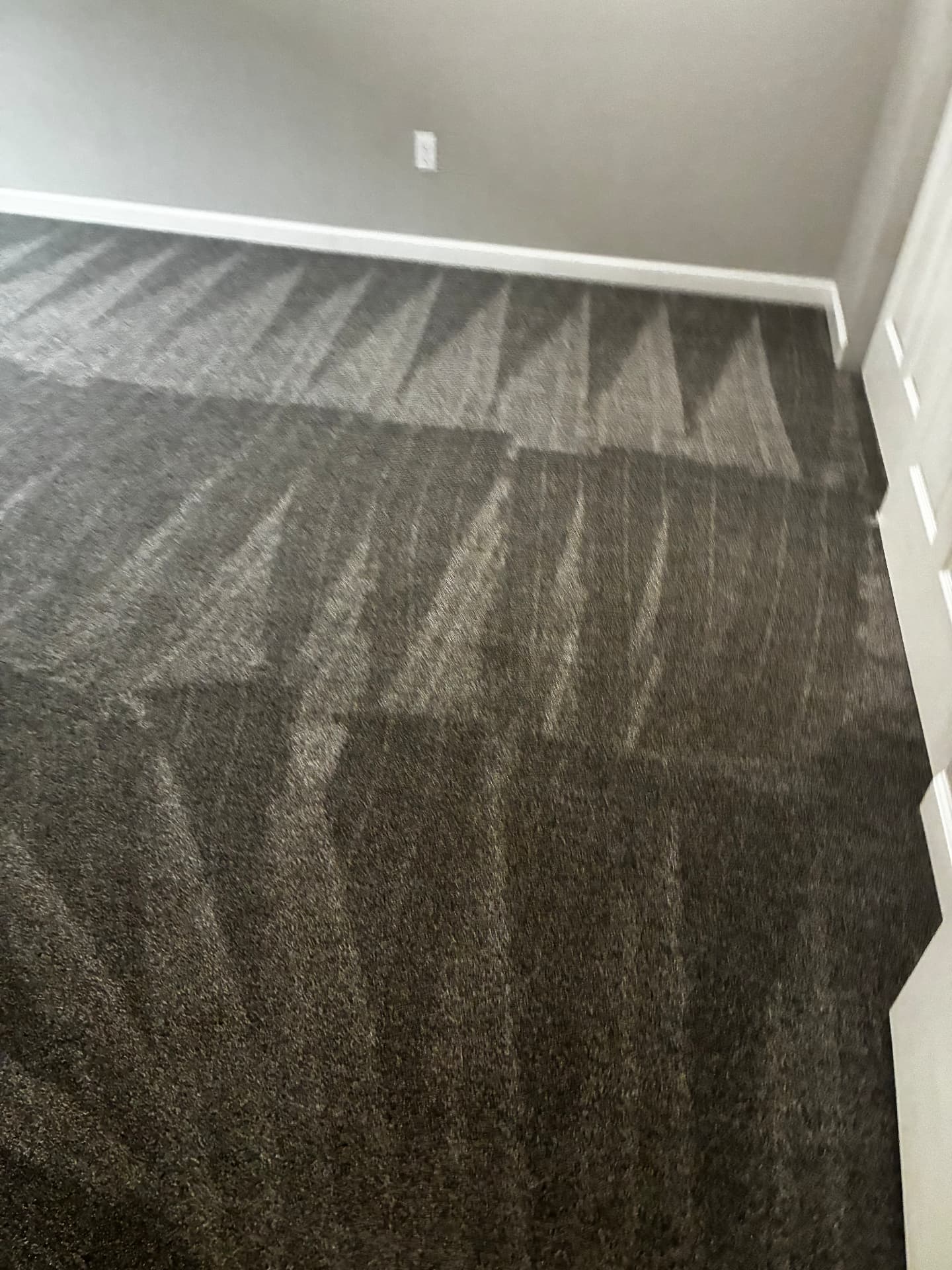 Dark bedroom carpet cleaned and groomed during a deep carpet cleaning appointment